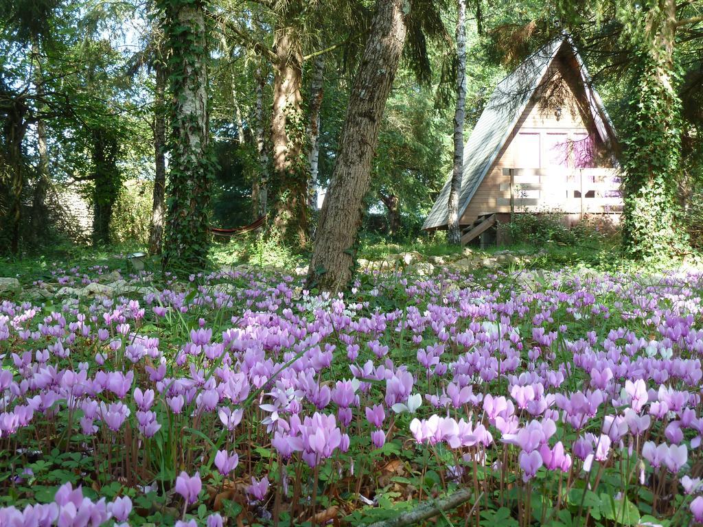 La Rossignolerie - Cabane Aux Oiseaux Chouzy-sur-Cisse Zewnętrze zdjęcie