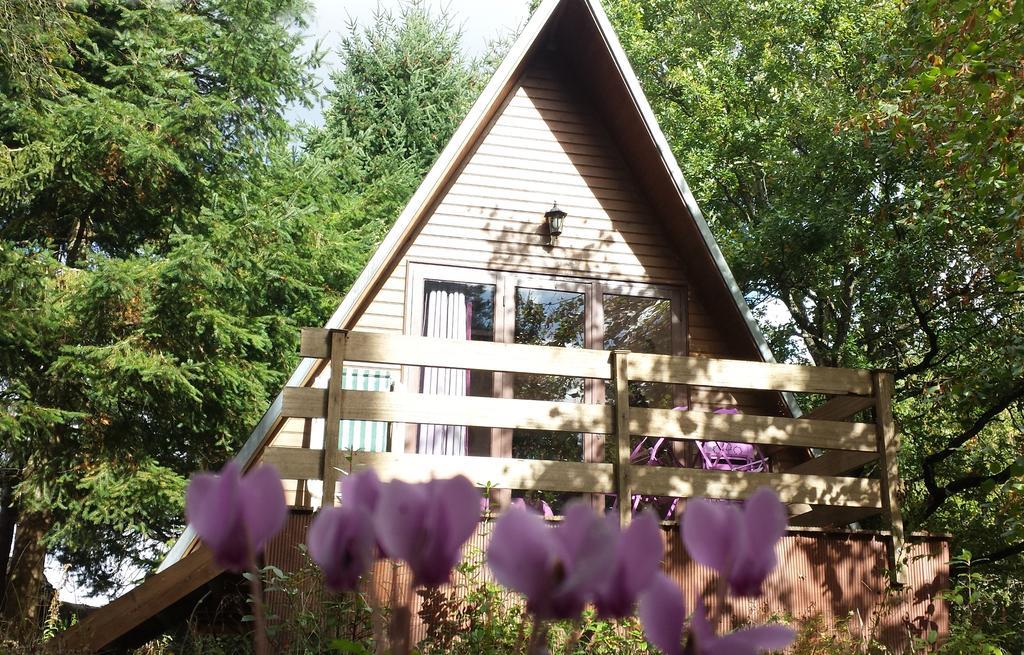 La Rossignolerie - Cabane Aux Oiseaux Chouzy-sur-Cisse Zewnętrze zdjęcie